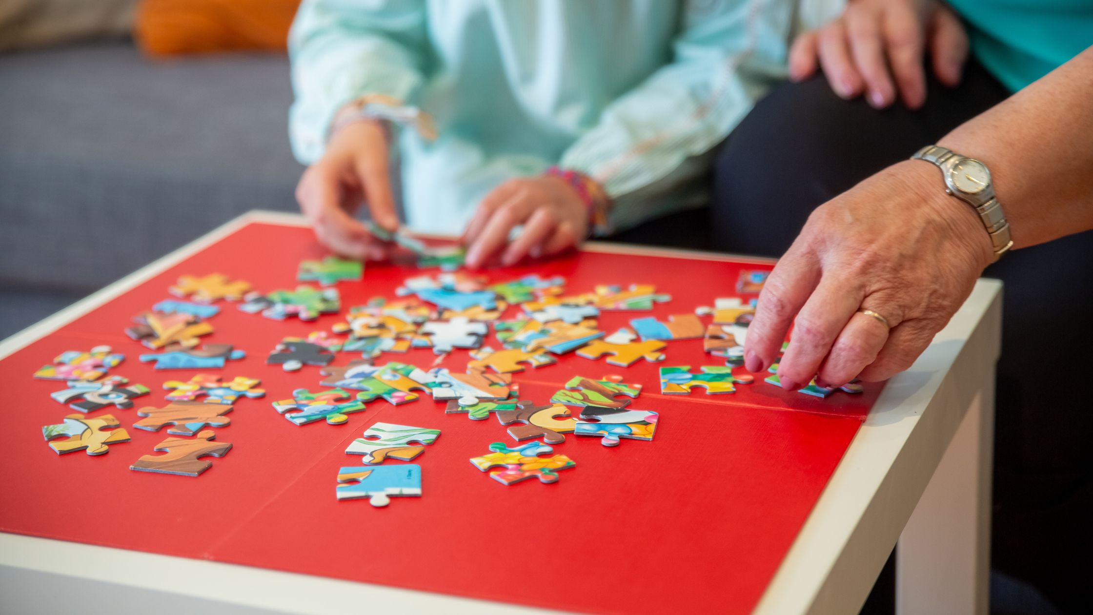 Puzzle per grandi e piccini