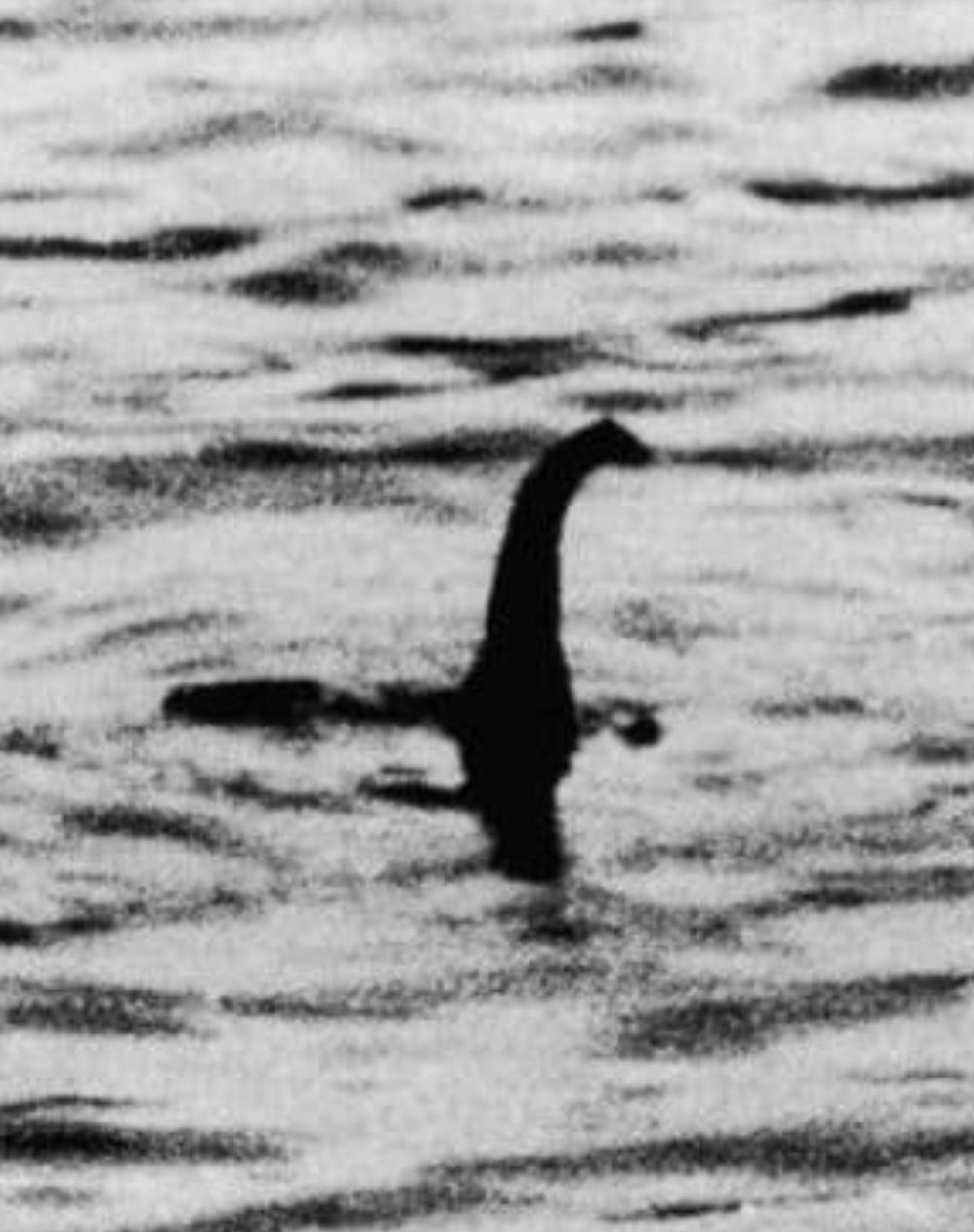Surgeon's Photograph Loch Ness
